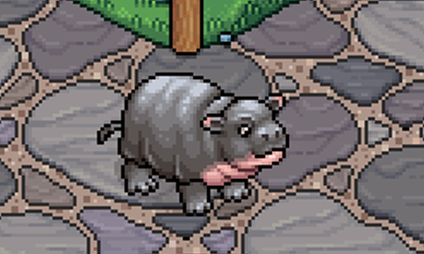 Novo Raro disponível: Hipo Pigmeu!